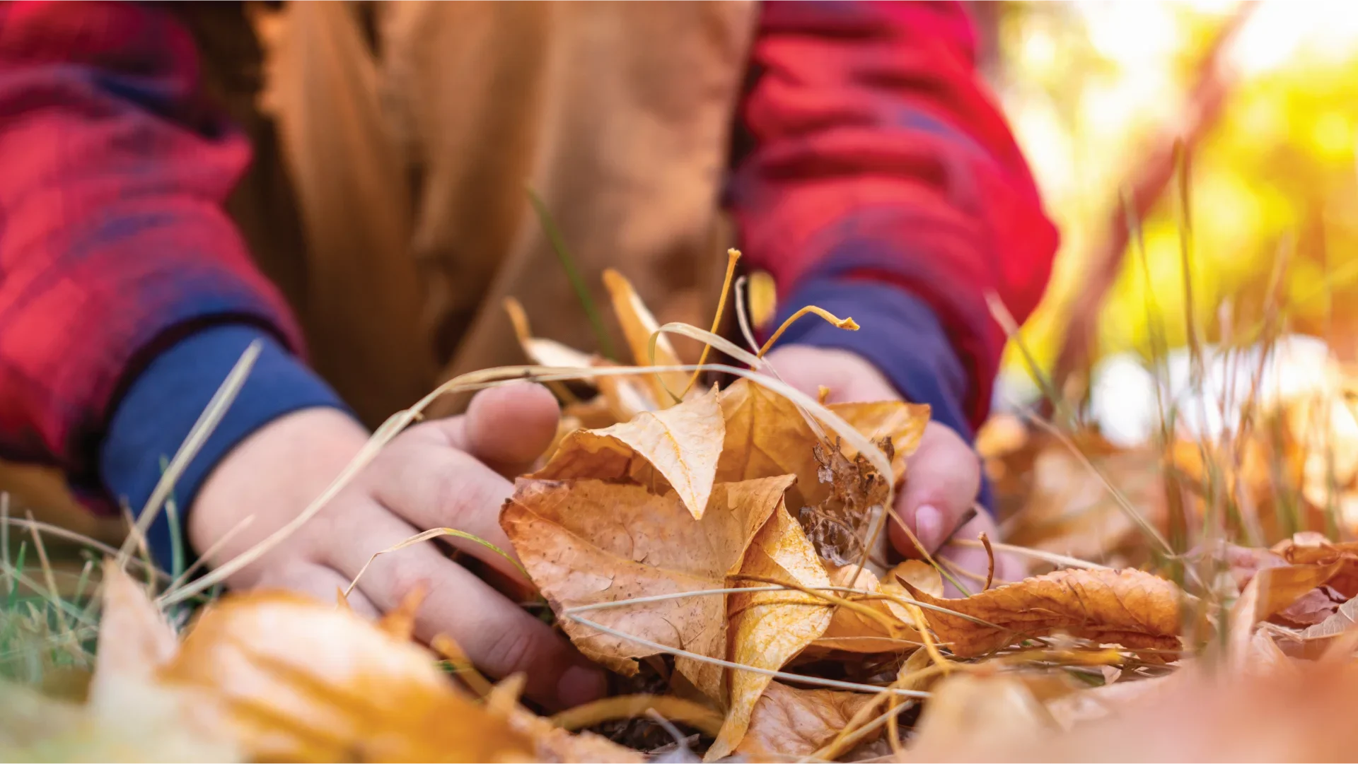 Forest_Schools_About_Us