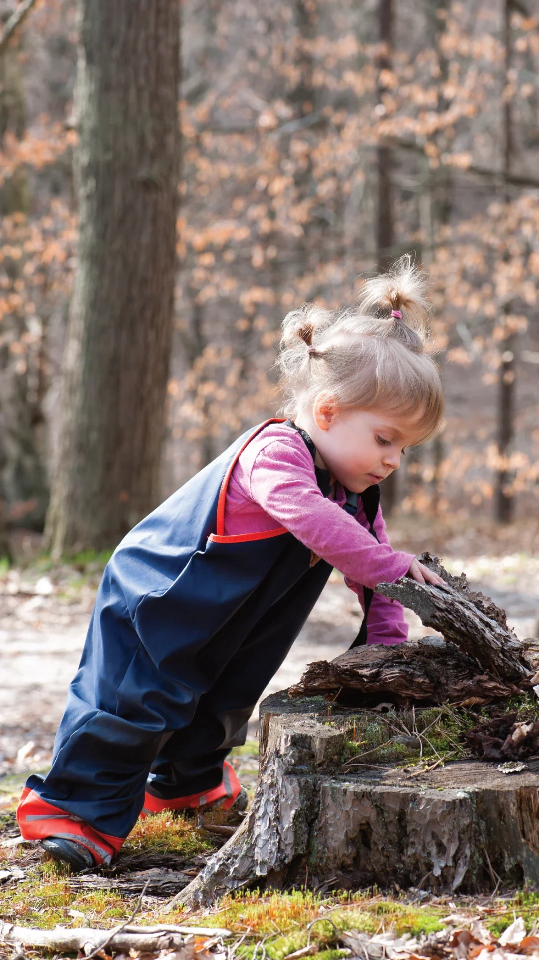 Forest_Schools_About_Us2