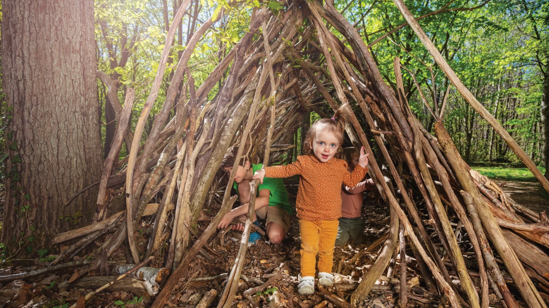 Forest_Schools_Sessions2